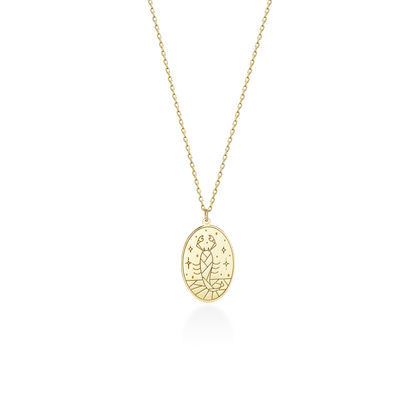 Custom Zodiac Necklace