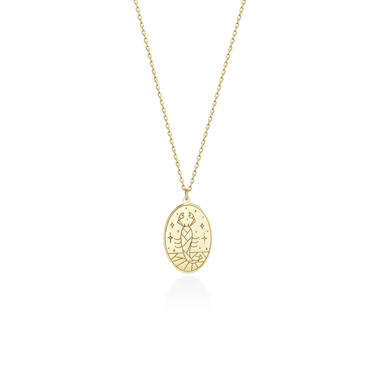 Custom Zodiac Necklace