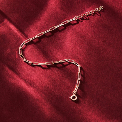 Paperclip Chain Anklet